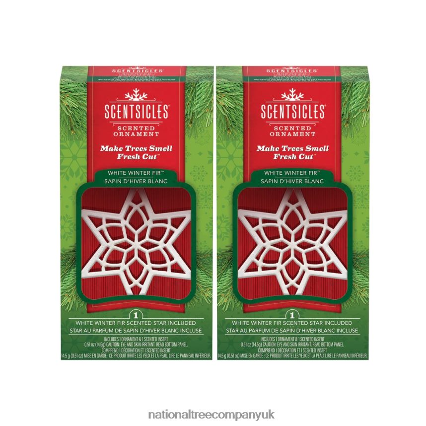 decoration | National Tree Company Scentsicles Scented Star Ornament White Winter Fir 2-Pack F2L4F543